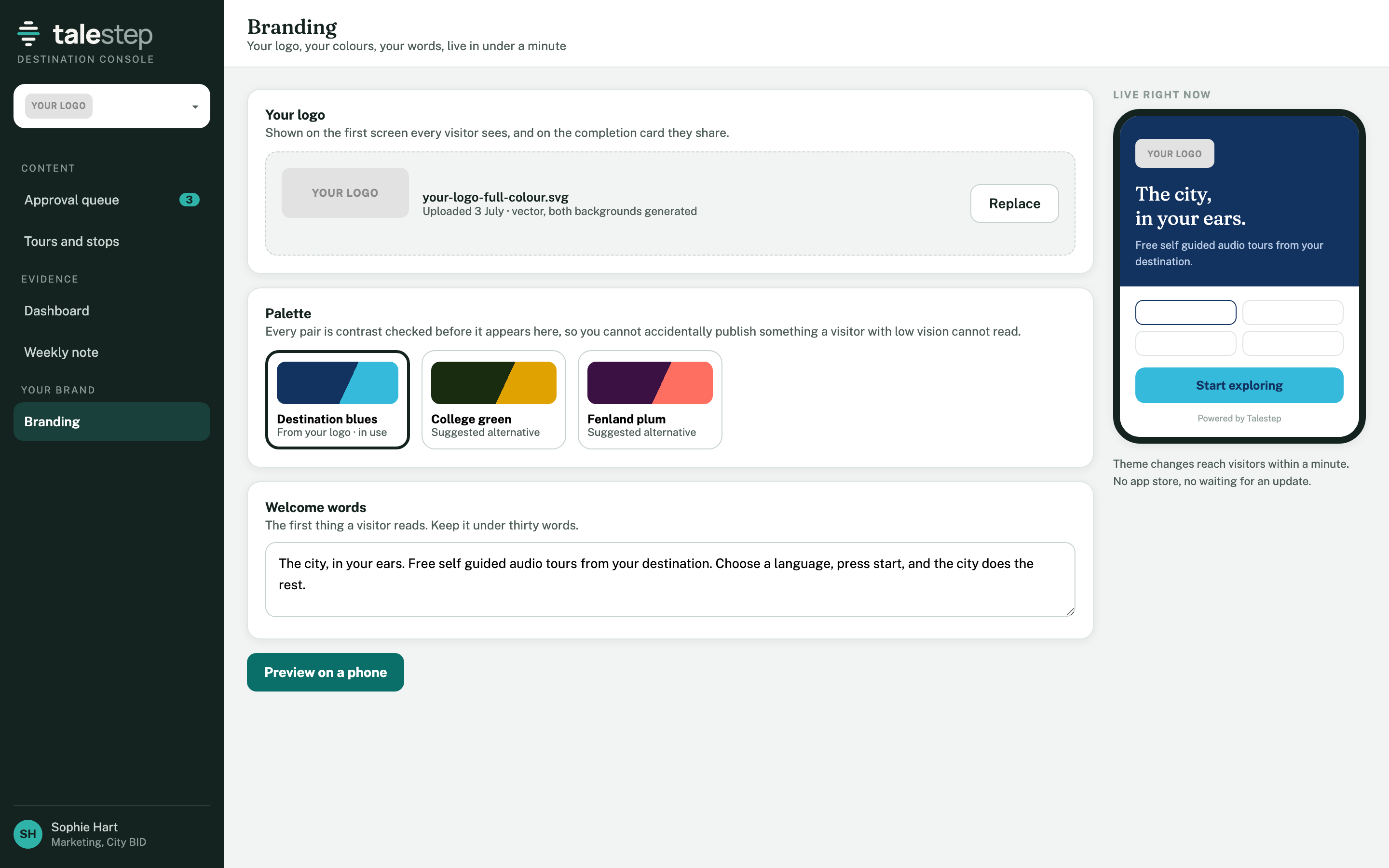 The branding screen, with a logo, a colour palette and the welcome message a visitor reads first